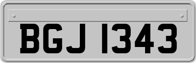 BGJ1343