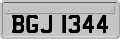 BGJ1344