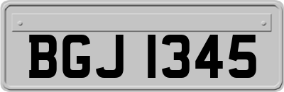 BGJ1345