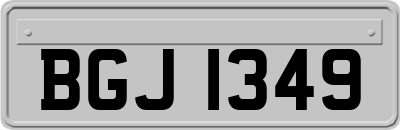 BGJ1349