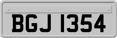 BGJ1354