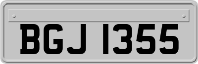 BGJ1355