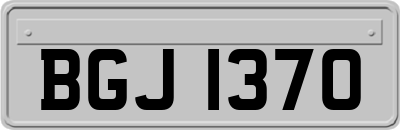 BGJ1370