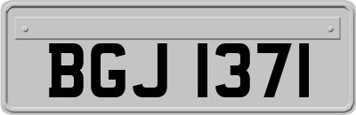 BGJ1371