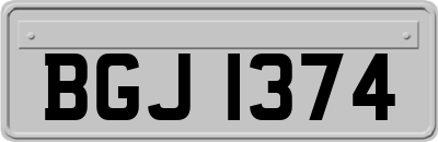 BGJ1374