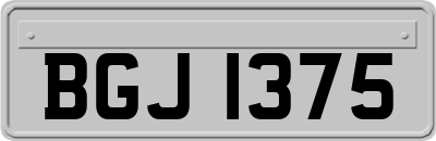 BGJ1375
