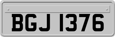 BGJ1376