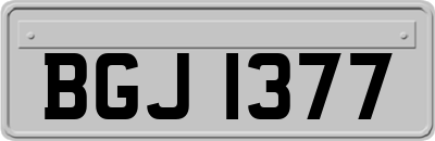 BGJ1377