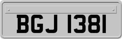 BGJ1381