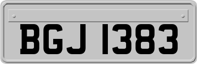 BGJ1383