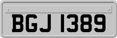 BGJ1389