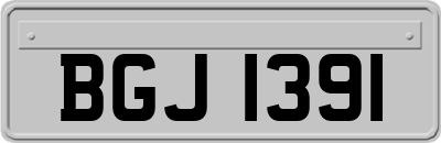 BGJ1391