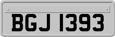 BGJ1393