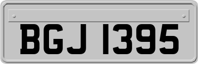 BGJ1395