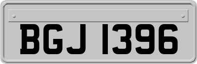 BGJ1396