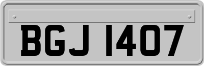 BGJ1407
