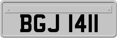 BGJ1411