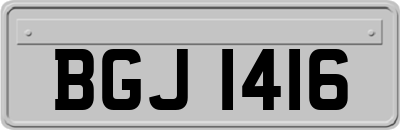 BGJ1416