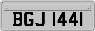 BGJ1441