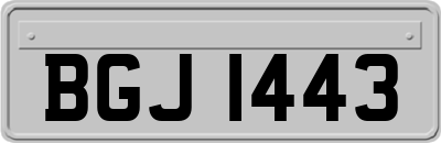BGJ1443