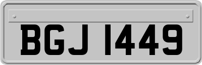 BGJ1449
