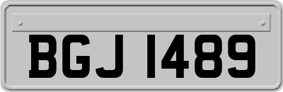 BGJ1489