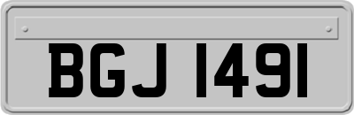 BGJ1491
