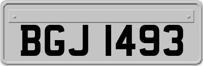 BGJ1493