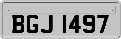 BGJ1497