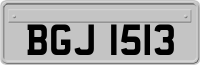 BGJ1513