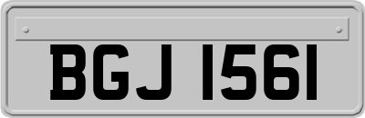 BGJ1561