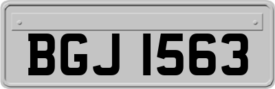BGJ1563