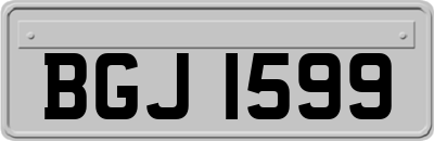 BGJ1599