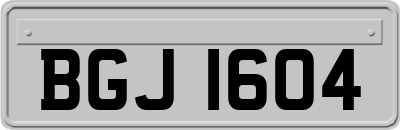 BGJ1604