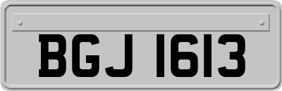 BGJ1613