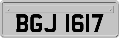 BGJ1617