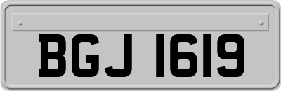 BGJ1619