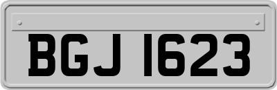 BGJ1623