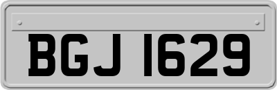 BGJ1629