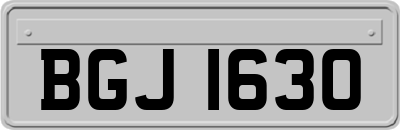 BGJ1630