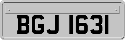 BGJ1631