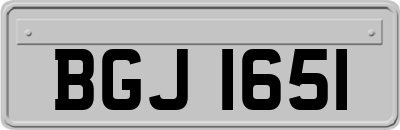 BGJ1651