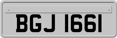 BGJ1661