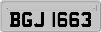 BGJ1663