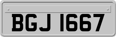BGJ1667
