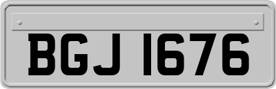 BGJ1676