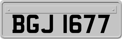 BGJ1677