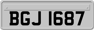 BGJ1687