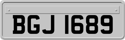 BGJ1689