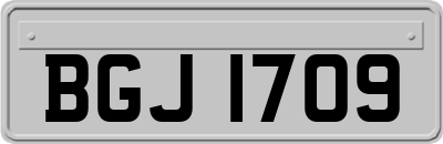 BGJ1709